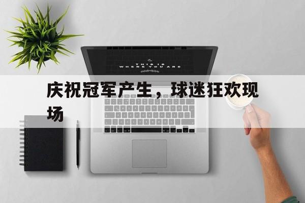 庆祝冠军产生，球迷狂欢现场的简单介绍